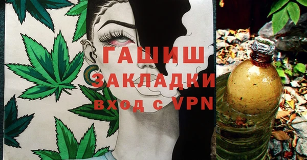 гидра Балахна