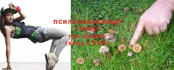 гидра Балахна
