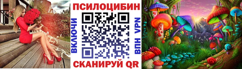 где можно купить наркотик  Невель  ОМГ ОМГ как войти  Галлюциногенные грибы Magic Shrooms 