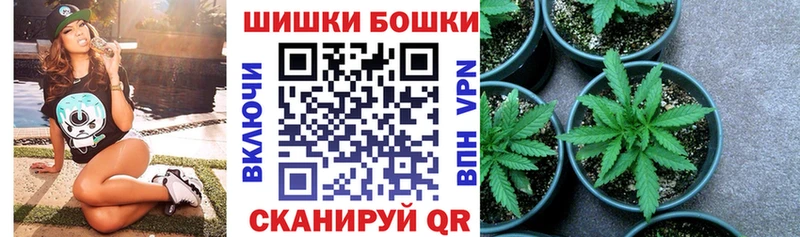 купить   Невель  Конопля сатива 